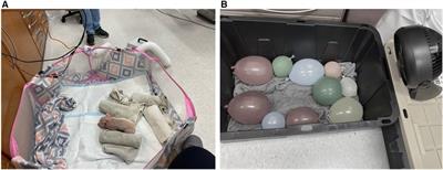 Preclinical validation of NeoWarm, a low-cost infant warmer and carrier device, to ameliorate induced hypothermia in newborn piglets as models for human neonates